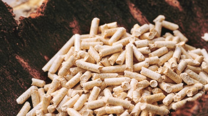 Haufen heller Holzpellets auf dunkler, rissiger Baumrinde.